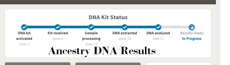 Ancestry DNA Results