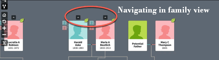 Navigating in family view