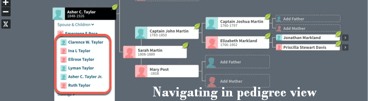 Navigating in pedigree view