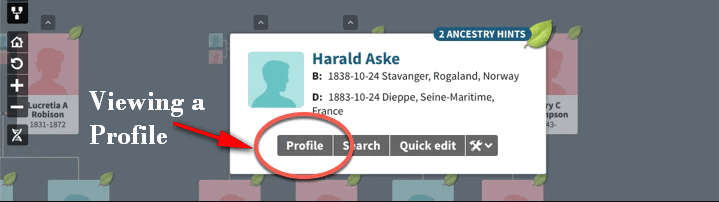 Viewing a profile