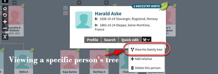 Viewing a specific person’s tree